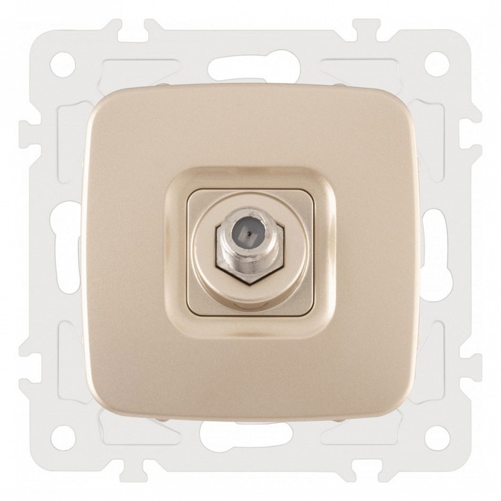 Тв-розетка без рамки arte milano am-205 205.42-1.shampan