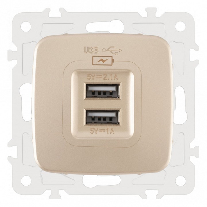 Розетка usb, Без рамки arte milano am-205 205.46-1.shampan