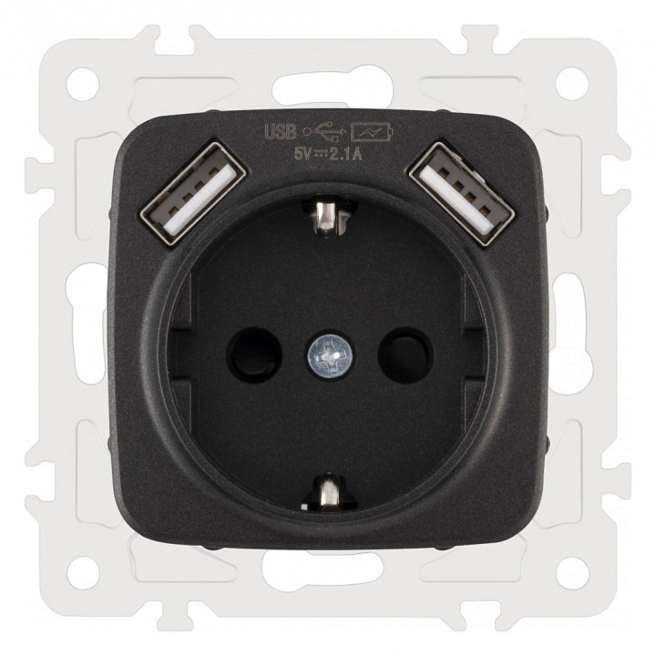 Розетка с заземлением и со шторкой и 2хusb, Без рамки arte milano am-205 205.47-1.black
