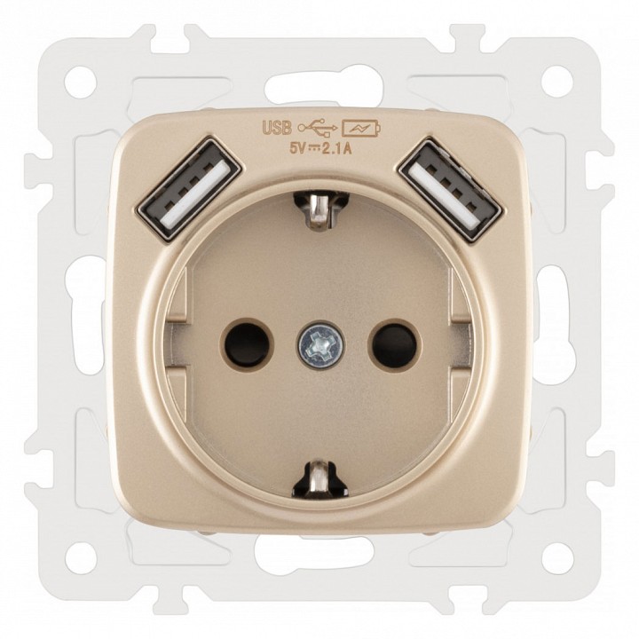 Розетка с заземлением и со шторкой и 2хusb, Без рамки arte milano am-205 205.47-1.shampan