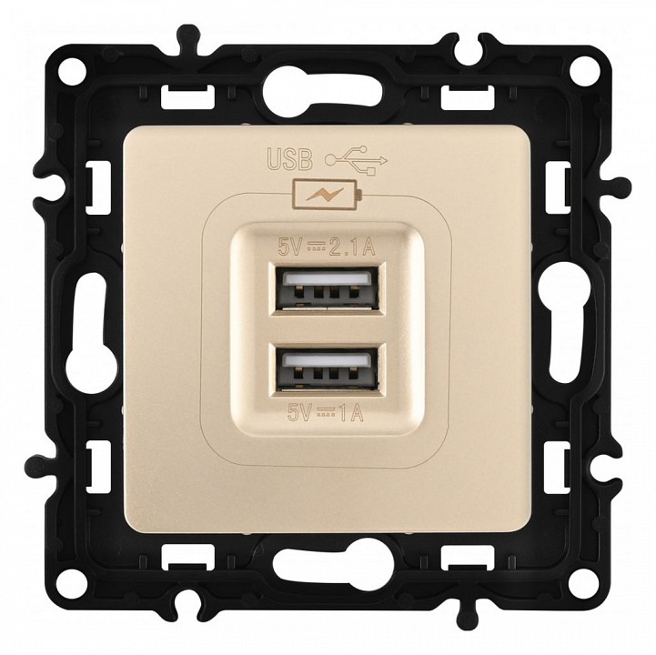Розетка usb, Без рамки arte milano am-217 217.46-1.shampan