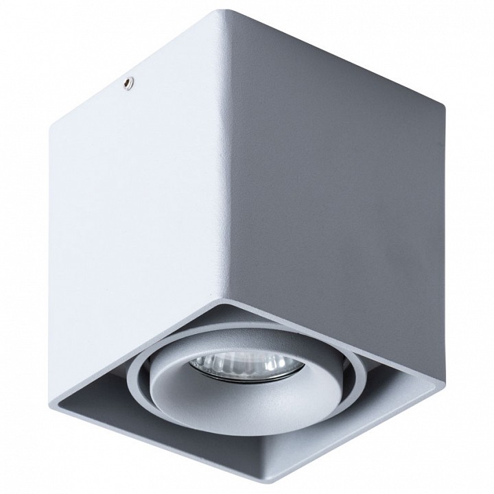 Накладной светильник arte lamp pictor a5654pl-1gy