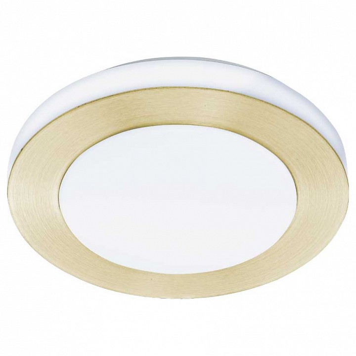 Накладной светильник eglo промо led carpi 900369