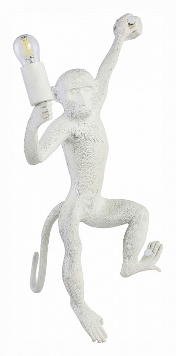 Накладной светильник evoluce tenato sle115111-01