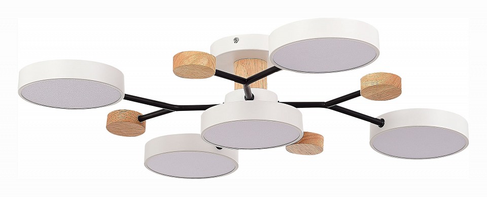 Потолочная люстра evoluce faema sle6006-502-05