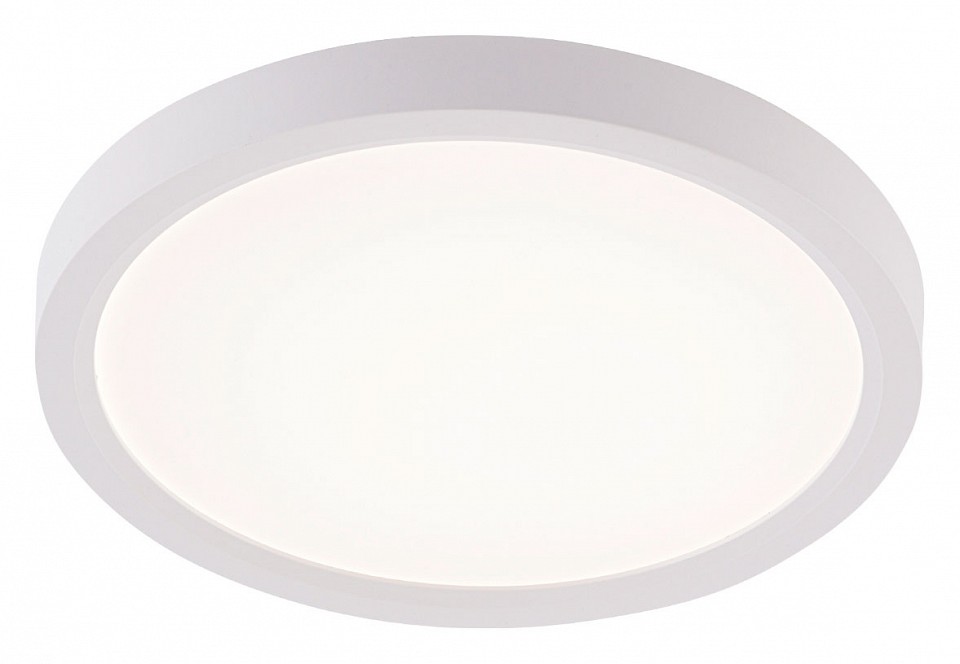 Накладной светильник natali kovaltseva plain led lamps 81113/1c