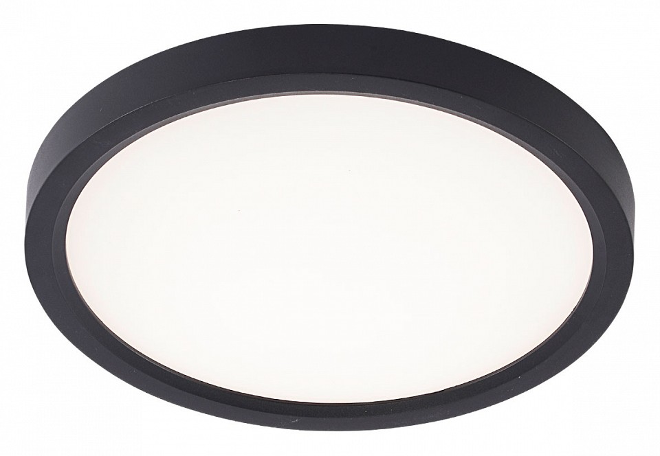 Накладной светильник natali kovaltseva plain led lamps 81114/1c