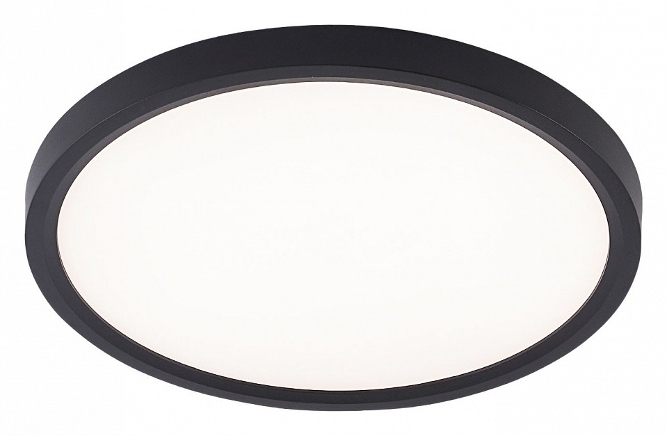 Накладной светильник natali kovaltseva plain led lamps 81114/2c