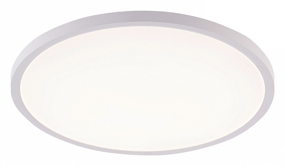 Накладной светильник natali kovaltseva plain led lamps 81113/4c