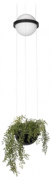 Подвесной светильник loft it jardin 10121/b