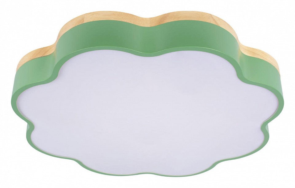 Накладной светильник loft it axel 10225/36 green