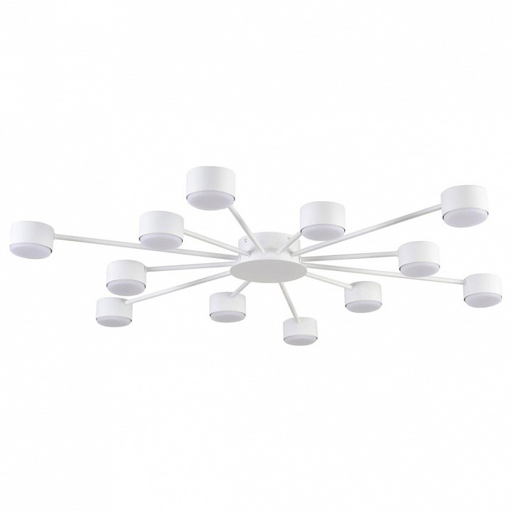 Потолочная люстра lumion torina 8343/12c