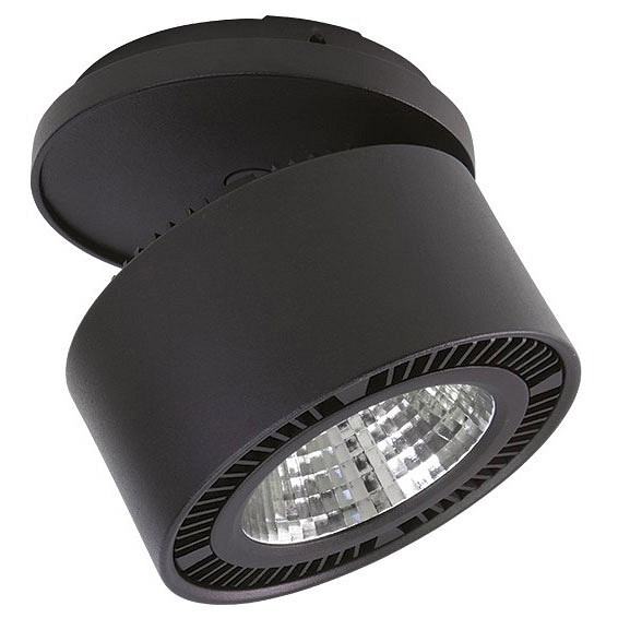 Спот lightstar forte inca 214847