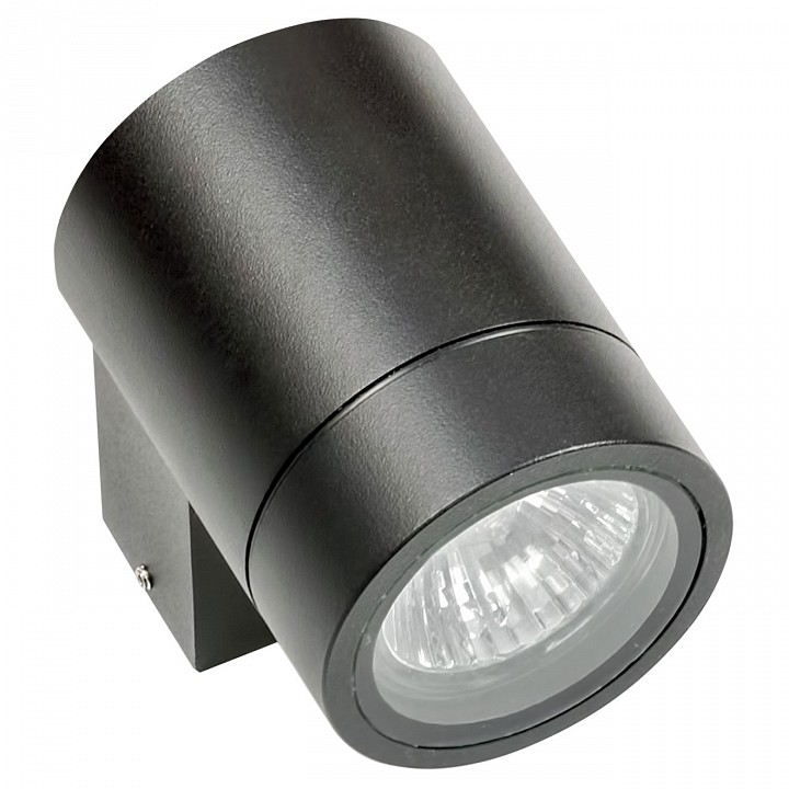 Светильник на штанге lightstar paro 350607