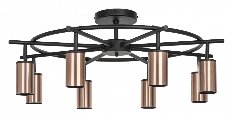 Люстра на штанге lightstar rullo lr718308