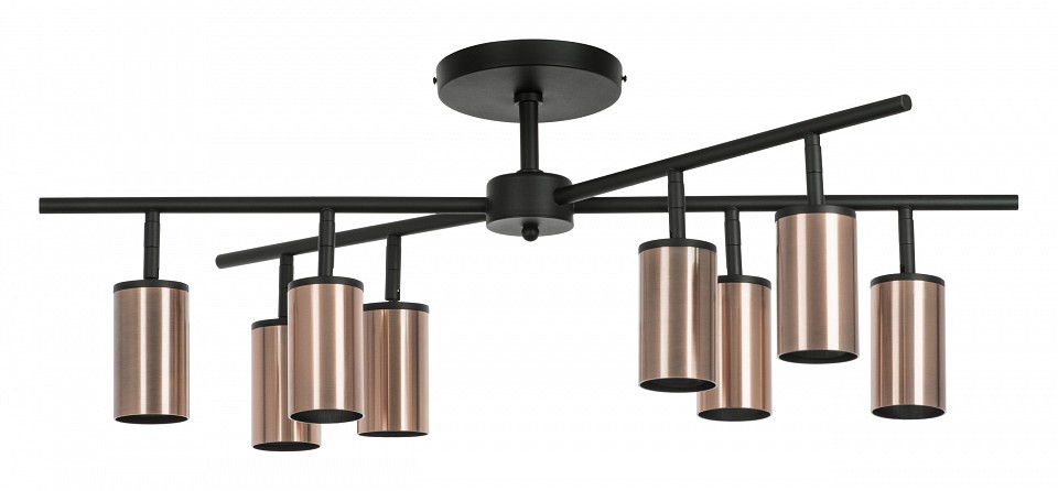 Люстра на штанге lightstar rullo lr728308