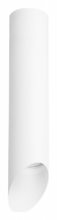 Накладной светильник lightstar rullo r49636