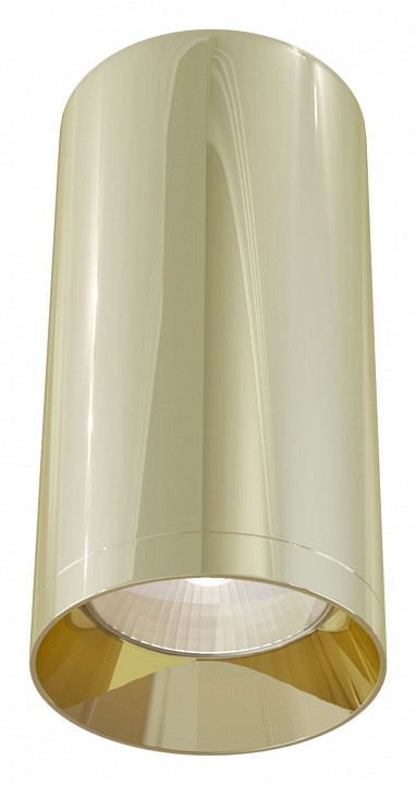 Накладной светильник maytoni focus c010cl-01g