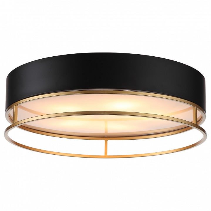 Накладной светильник st-luce chodo sl1127.432.05