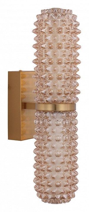 Бра st-luce saguaro sl6144.301.01