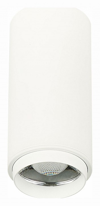 Накладной светильник st-luce zoom st600.542.10