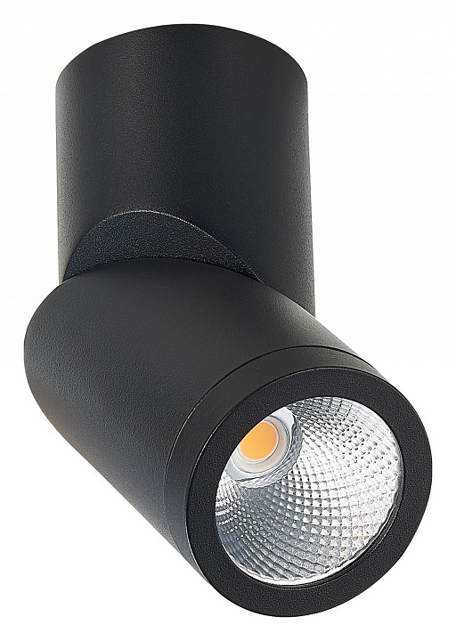 Светильник на штанге st-luce st650 st650.442.10