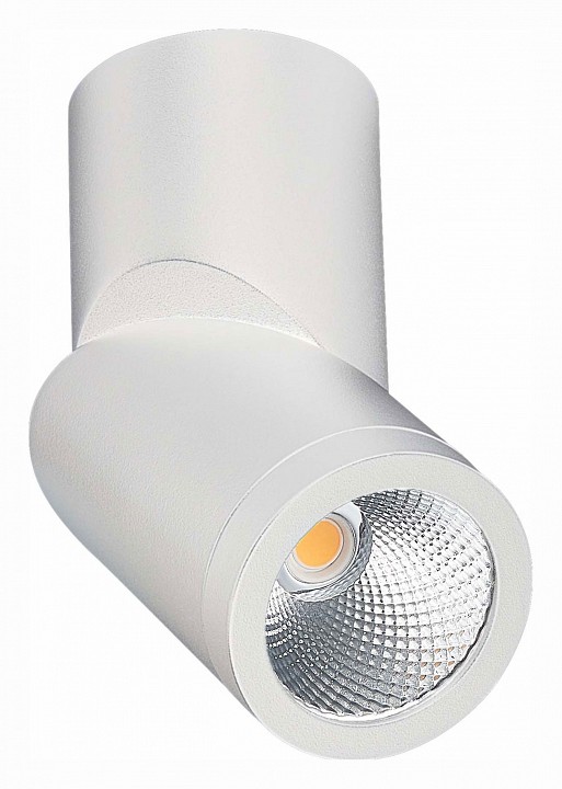 Светильник на штанге st-luce st650 st650.542.10