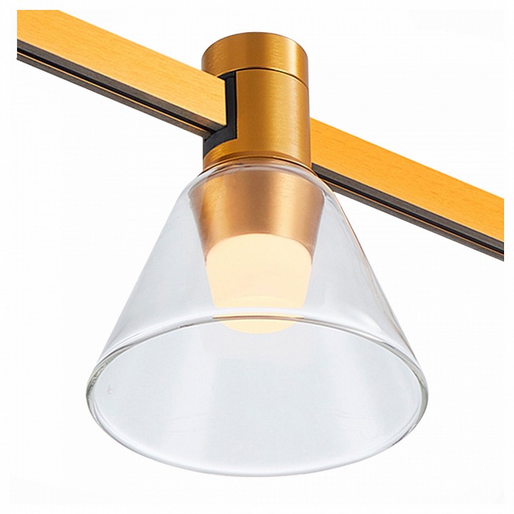 Накладной светильник st-luce farm st814.246.03