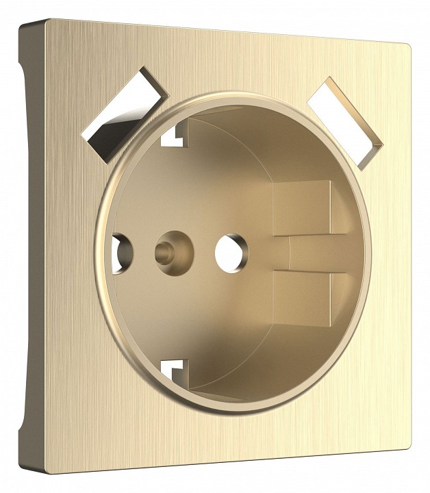 Накладка для розетки с заземлением и 2хusb werkel шампань рифленый w1179510