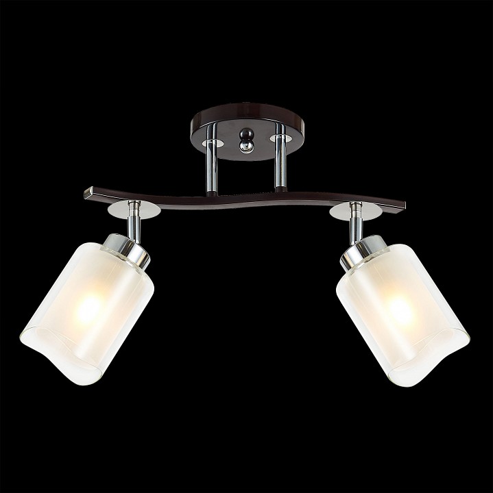 Спот citilux фортуна cl156122
