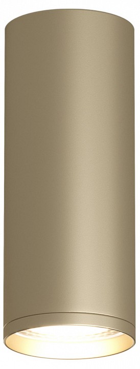 Накладной светильник denkirs tube dk2051-sg