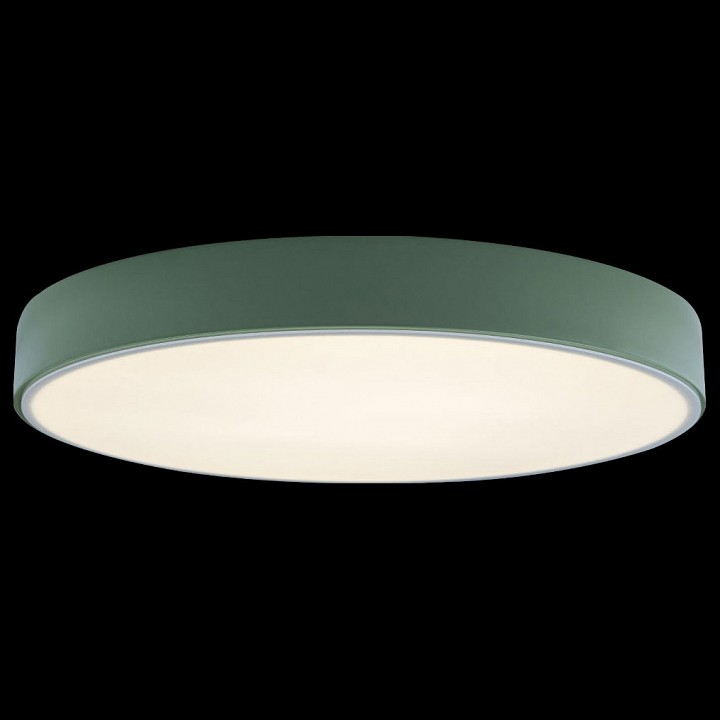 Накладной светильник loft it axel 1 10002/24 green