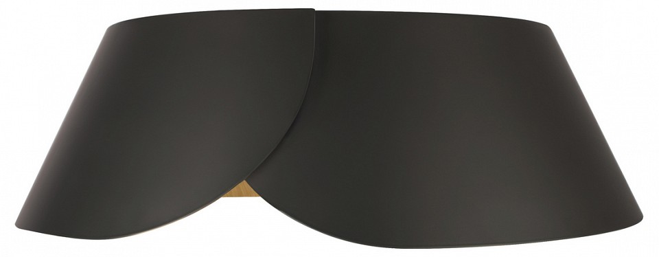 Накладной светильник loft it lane 10370 black