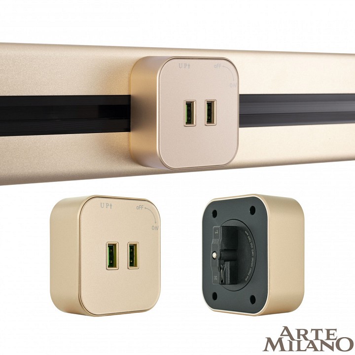 Розетка 2xusb на треке arte milano am-track-sockets 380022ts/usbx2 gold