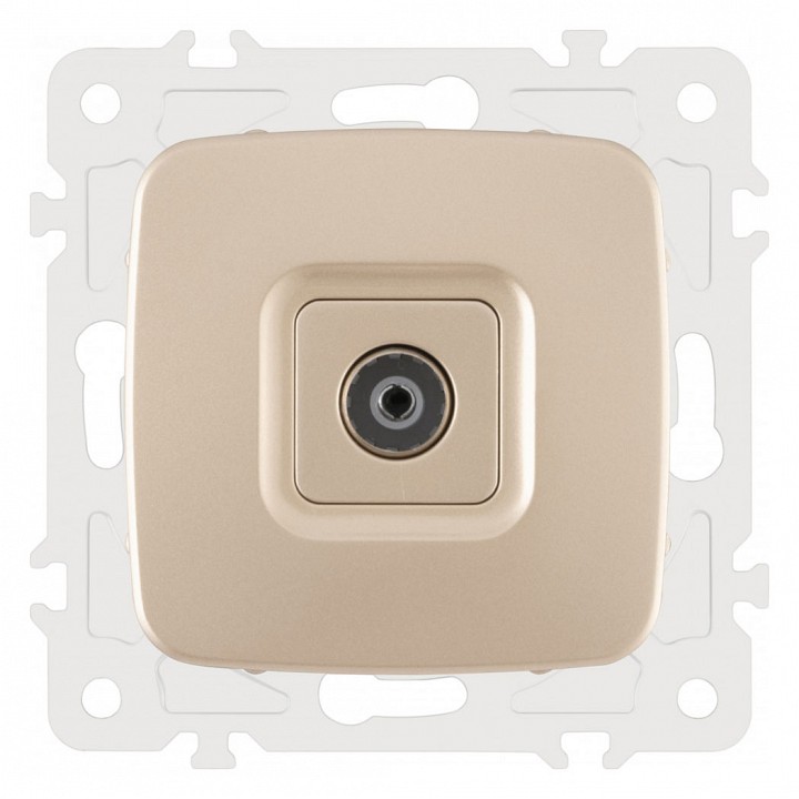 Тв-розетка без рамки arte milano am-205 205.43-1.shampan