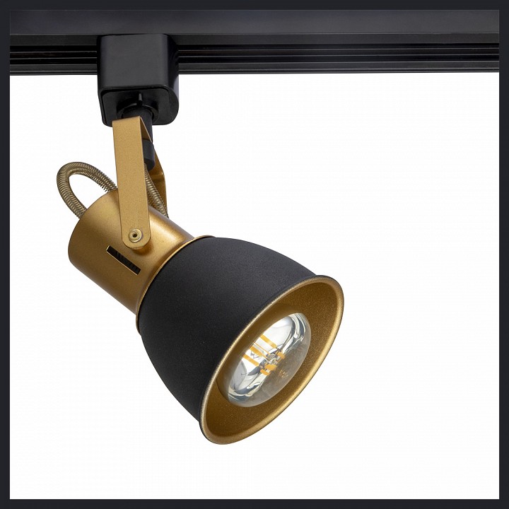 Светильник на штанге arte lamp jovi a1677pl-1go