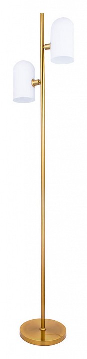 Торшер arte lamp cassel a5454pn-2pb