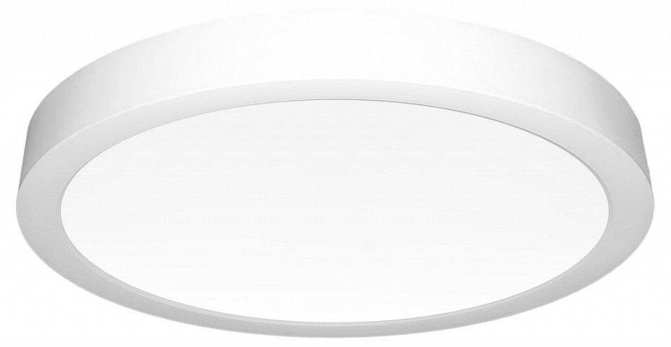 Накладной светильник citilux галс cl5522n