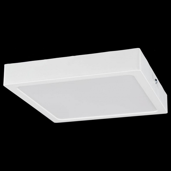 Накладной светильник citilux галс cl55k22n