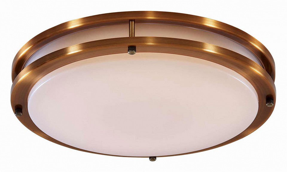 Накладной светильник citilux бостон cl709323n