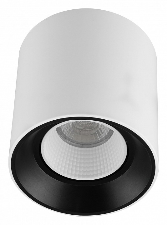 Накладной светильник denkirs rodvig dk3090-wb+wh