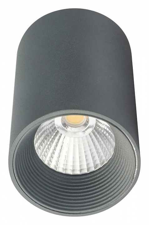 Накладной светильник escada 20003 20003smu/01led sgy