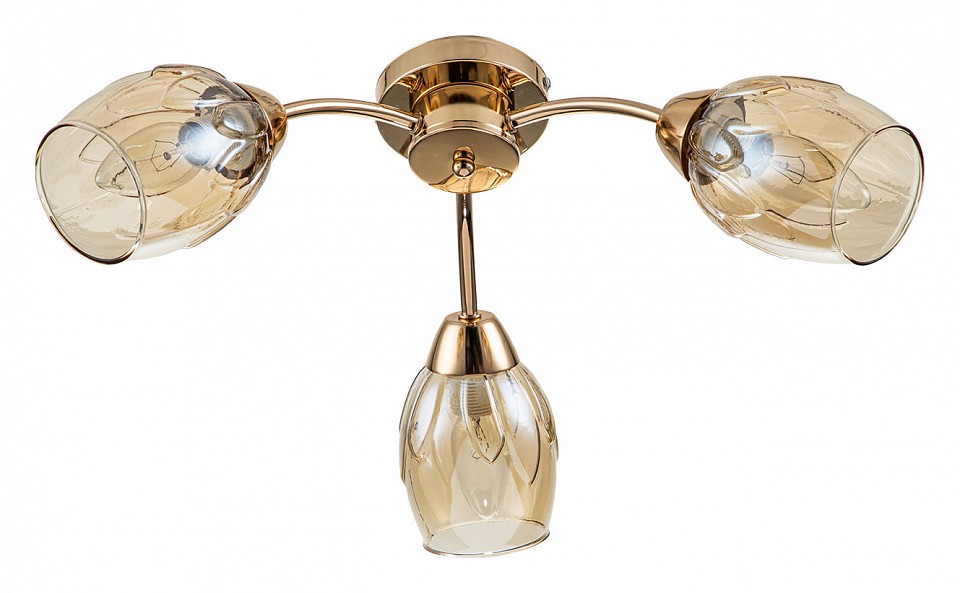 Потолочная люстра escada allium 663/3p