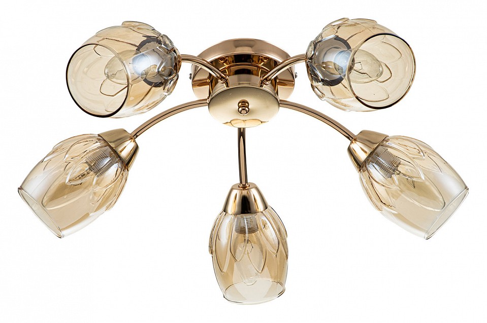 Потолочная люстра escada allium 663/5p