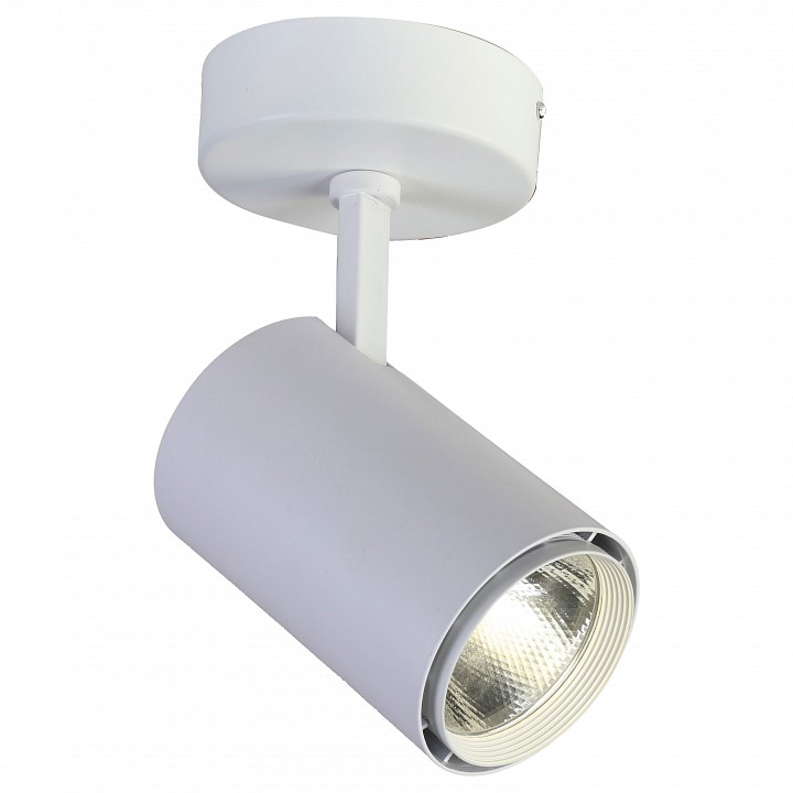 Светильник на штанге favourite projector 1773-1u