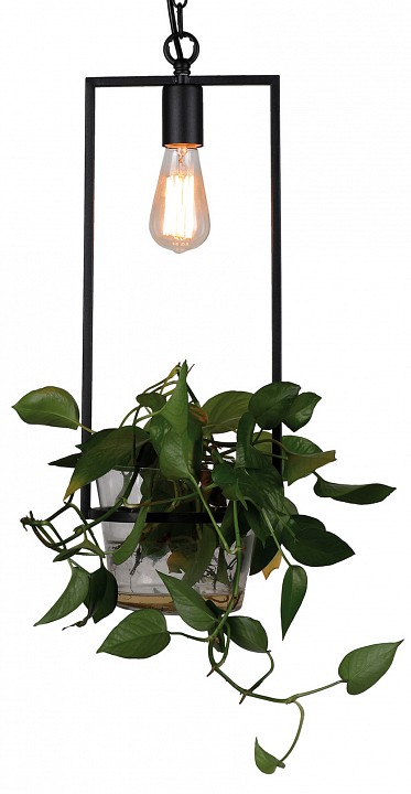 Подвесной светильник favourite situla 1975-1p