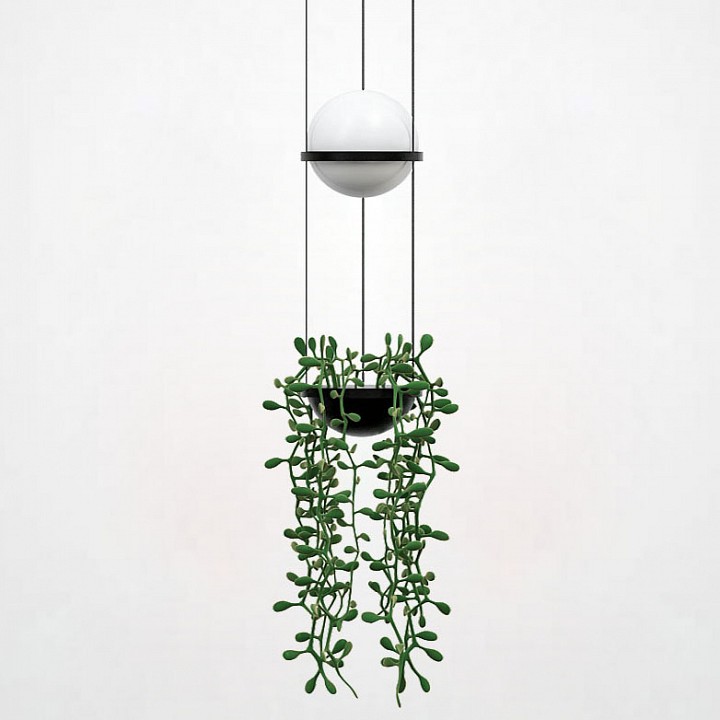 Подвесной светильник imperiumloft palma wall lamp 22.93727