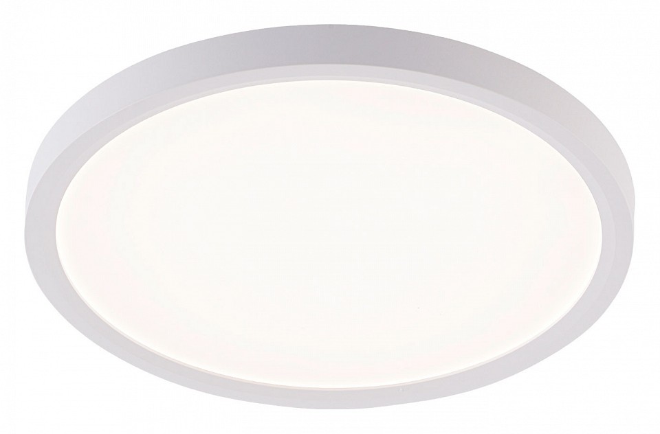 Накладной светильник natali kovaltseva plain led lamps 81113/2c
