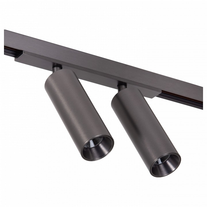 Светильник на штанге lucide linial 55902/20/08