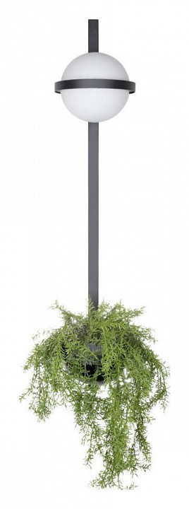 Бра loft it jardin 10121w/b